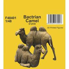 Bactrian Camel (2 pcs) 1/48 in 1/48