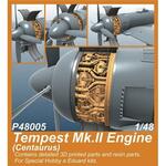 Tempest Mk.II Engine (Centaurus) for SH and Eduard kits in 1:48