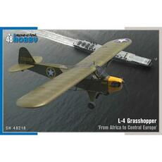 L-4 Grasshopper From Africa to Central Europe in 1:48
