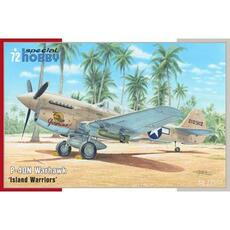 P-40N Warhawk ‘Island Warriors’ in 1:72