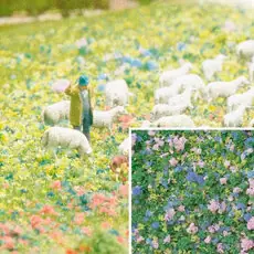 Blütenflocken Krokusblüte