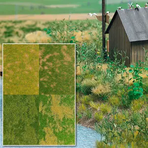 »Groundcover«-Bodendecker 4er Set