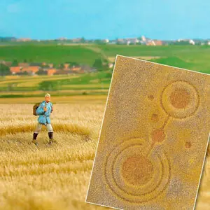 »Groundcover«-Bodendecker: Kornkreise