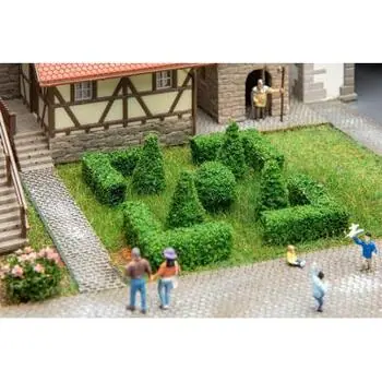 Buchsbaum-Set