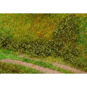 Blätterfoliage, sommergrün