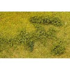 Blätterfoliage, grün