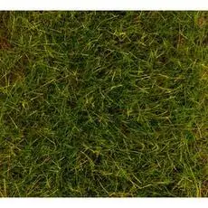 PREMIUM Streufasern Sommerwiese, lang, 12 mm, 30 g