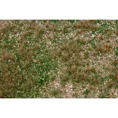 PREMIUM Landschafts-Segment Wildkräuterwiese