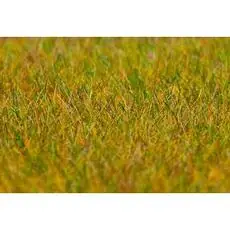 PREMIUM Streufasern Wiese, hellgrün, 6 mm, 30 g