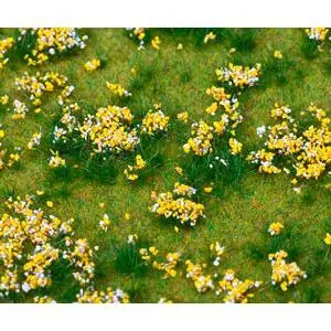 PREMIUM Landschafts-Segment, Blumenwiese, bunt
