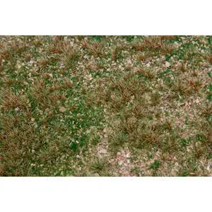 PREMIUM Landschafts-Segment Wildkräuterwiese
