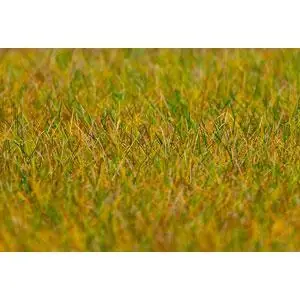 PREMIUM Streufasern Wiese, hellgrün, 6 mm, 30 g