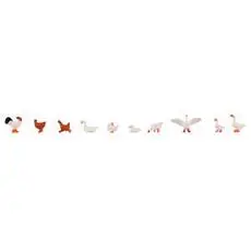 Hühner, Enten und Gänse