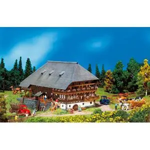 Schwarzwaldhof