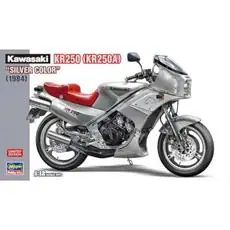 1/12 Kawasaki KR250, Silver Color