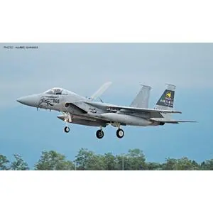 1/72 F15J Eagle, 306SQ 35th Anniversary