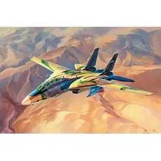 1/48 F-14A Tomcat, Persian Cat