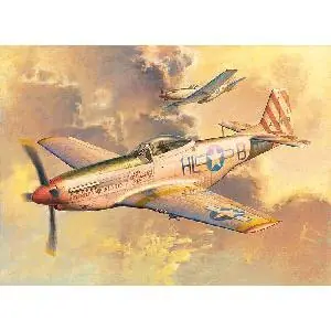 1/32 P-51D Mustang