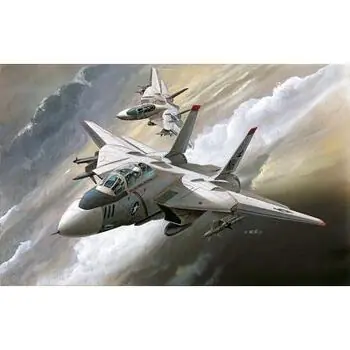 1/144 F-14