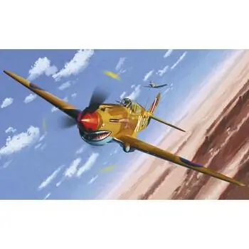 1/48 Tomahawk IIB, Ass der afrikanischen Front