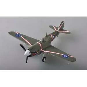 1/48 P40M US