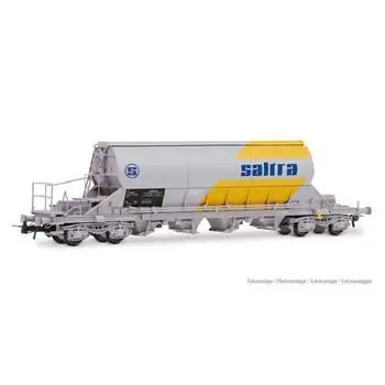RENFE, Taoos Hopperwagen, grau-gelbe Saltra-Lackierung, Ep. IV