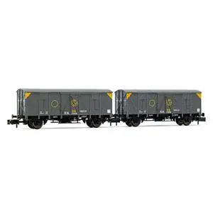 R.N., 2-tlg. Set 2-achs. gedeckte Güterwagen, Grau, Sindicato de la Naranja