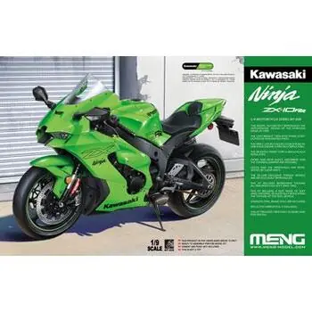 1/9 Kawasaki ZX-10RR