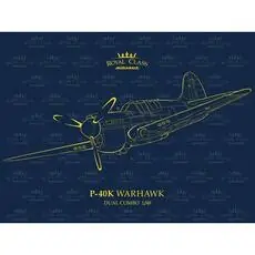 P-40K Warhawk DUAL COMBO in 1:48 P-40K Warhawk DUAL COMBO in 1:48