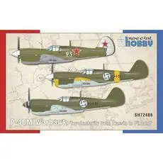 P-40M Warhawk ‘Involuntarily from Russia to Finland’ in 1/72
