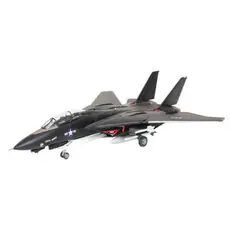 F-14A Black Tomcat
