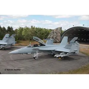 F/A-18F Super Hornet *