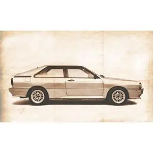 1:24 Audi Quattro Rally
