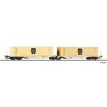 Containertragwagen AAE